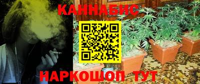 прущий лед Будённовск