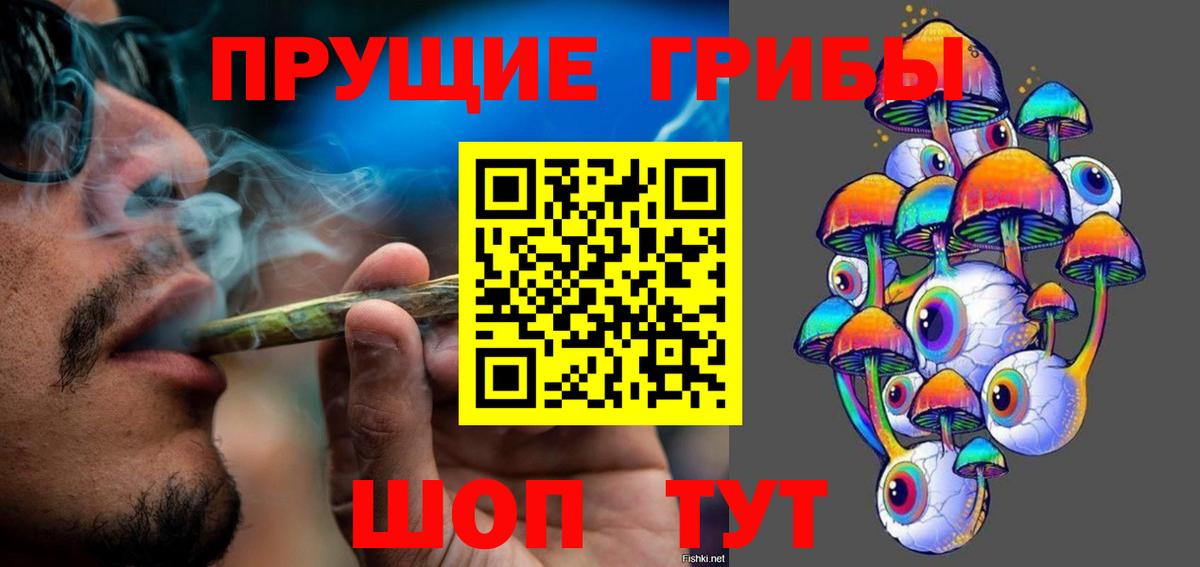 Галлюциногенные грибы GOLDEN TEACHER  Вход с VPN  Светлоград 
